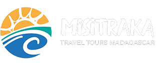 Logo blanc misitraka Tours